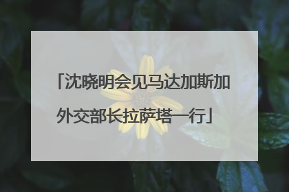 沈晓明会见马达加斯加外交部长拉萨塔一行