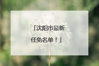 沈阳市最新任免名单！