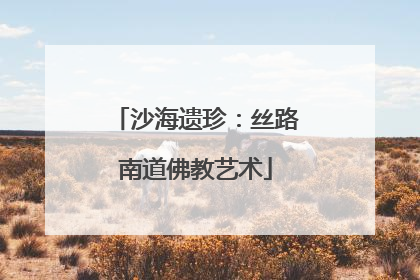 沙海遗珍：丝路南道佛教艺术