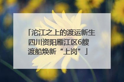 沱江之上的渡运新生 四川资阳雁江区6艘渡船焕新“上岗”