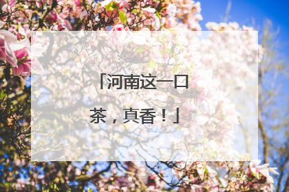 河南这一口茶，真香！