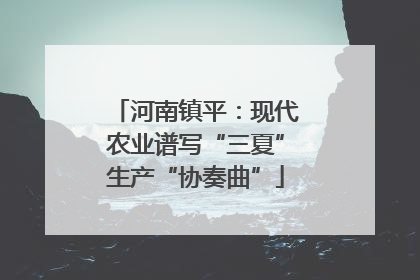 河南镇平：现代农业谱写“三夏”生产“协奏曲”