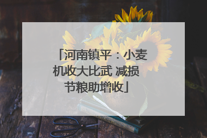 河南镇平：小麦机收大比武 减损节粮助增收