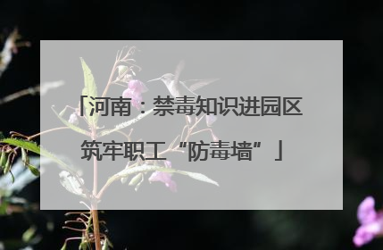 河南：禁毒知识进园区 筑牢职工“防毒墙”