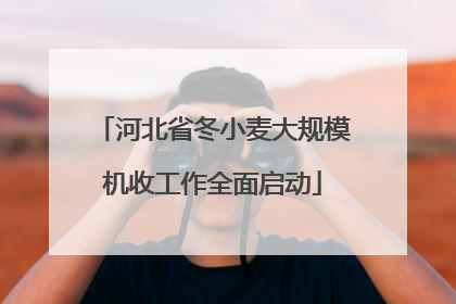 河北省冬小麦大规模机收工作全面启动
