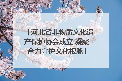 河北省非物质文化遗产保护协会成立 凝聚合力守护文化根脉