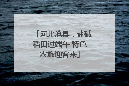 河北沧县：盐碱稻田过端午 特色农旅迎客来