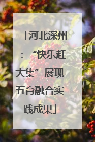 河北深州：“快乐赶大集”展现五育融合实践成果