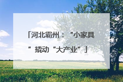 河北霸州：“小家具”撬动“大产业”