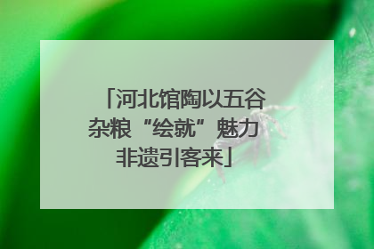 河北馆陶以五谷杂粮“绘就”魅力非遗引客来