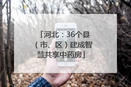 河北：36个县（市、区）建成智慧共享中药房