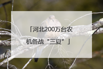 河北200万台农机备战“三夏”