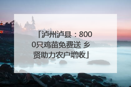 泸州泸县：8000只鸡苗免费送 乡贤助力农户增收