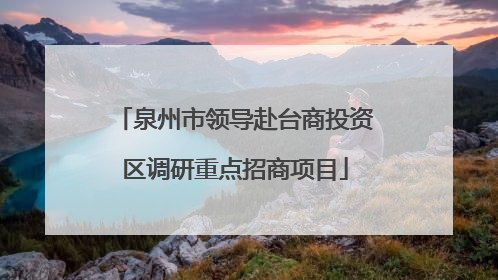 泉州市领导赴台商投资区调研重点招商项目
