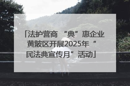 法护营商 “典”惠企业 黄陂区开展2025年“民法典宣传月”活动