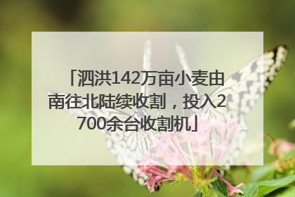 泗洪142万亩小麦由南往北陆续收割，投入2700余台收割机