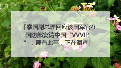 泰国副总理回应该国军官在国防部宴请中国“VVVIP”:确有此事,正在调查