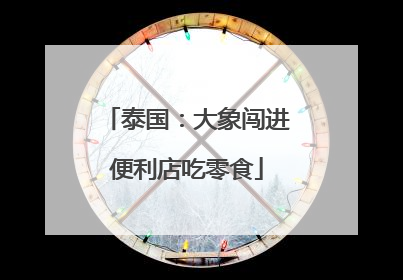 泰国：大象闯进便利店吃零食