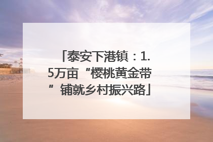 泰安下港镇：1.5万亩“樱桃黄金带”铺就乡村振兴路