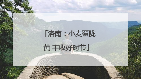 洛南：小麦覆陇黄 丰收好时节