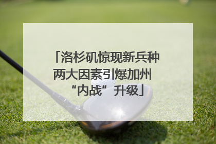 洛杉矶惊现新兵种 两大因素引爆加州“内战”升级
