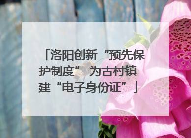 洛阳创新“预先保护制度” 为古村镇建“电子身份证”
