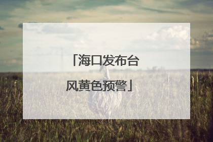 海口发布台风黄色预警