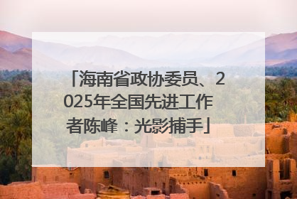 海南省政协委员、2025年全国先进工作者陈峰：光影捕手