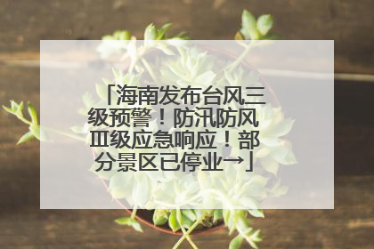 海南发布台风三级预警！防汛防风Ⅲ级应急响应！部分景区已停业→