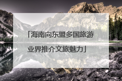海南向东盟多国旅游业界推介文旅魅力