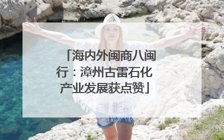 海内外闽商八闽行：漳州古雷石化产业发展获点赞
