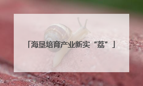 海垦培育产业新实“荔”