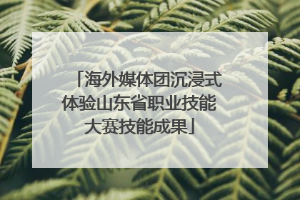 海外媒体团沉浸式体验山东省职业技能大赛技能成果