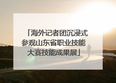 海外记者团沉浸式参观山东省职业技能大赛技能成果展