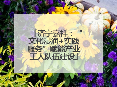 济宁嘉祥：“文化浸润+实践服务”赋能产业工人队伍建设