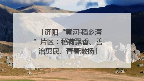 济阳“黄河·稻乡湾”片区：稻荷飘香、善治惠民、青春激扬