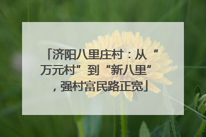 济阳八里庄村：从“万元村”到“新八里”，强村富民路正宽