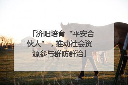 济阳培育“平安合伙人”，推动社会资源参与群防群治