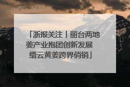 浙报关注丨丽台两地姜产业抱团创新发展 缙云黄姜跨界俏销