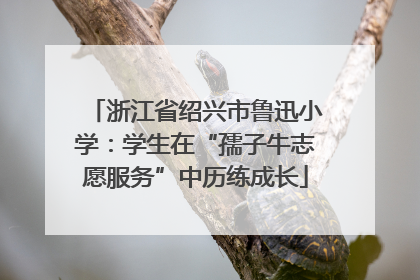 浙江省绍兴市鲁迅小学:学生在“孺子牛志愿服务”中历练成长