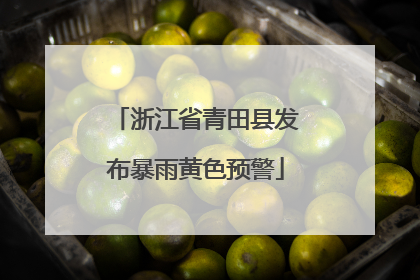 浙江省青田县发布暴雨黄色预警