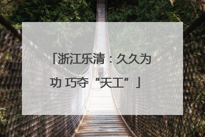 浙江乐清：久久为功 巧夺“天工”