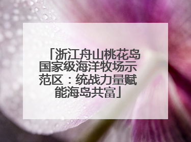 浙江舟山桃花岛国家级海洋牧场示范区：统战力量赋能海岛共富