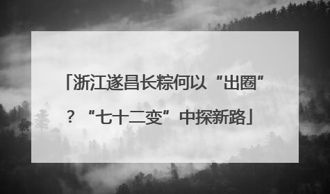 浙江遂昌长粽何以“出圈”？“七十二变”中探新路