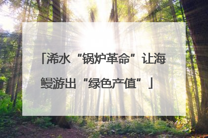 浠水“锅炉革命”让海鳗游出“绿色产值”