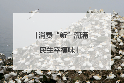 消费“新”潮涌 民生幸福味