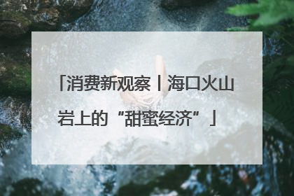 消费新观察丨海口火山岩上的“甜蜜经济”