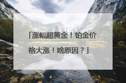涨幅超黄金！铂金价格大涨！啥原因？