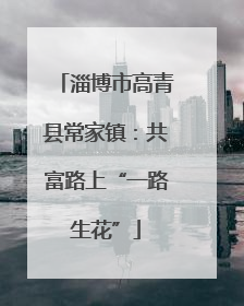 淄博市高青县常家镇：共富路上“一路生花”