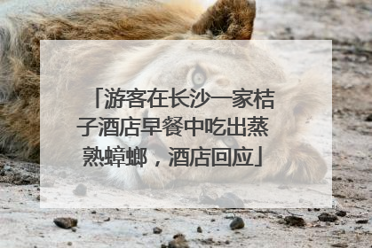 游客在长沙一家桔子酒店早餐中吃出蒸熟蟑螂，酒店回应